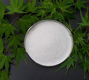 Distilled monoglyceride（DMG/GMS)