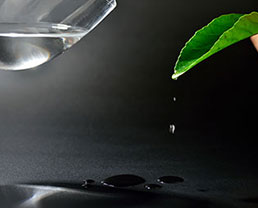 Propylene Glycol  (MPG)