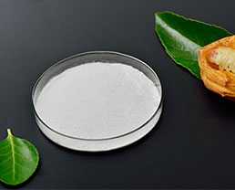 Disodium Phosphate Anhydrous(DSP)