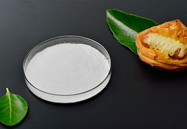 Disodium Phosphate Anhydrous(DSP)