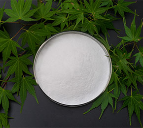 Disodium Phosphate Anhydrous(DSP)