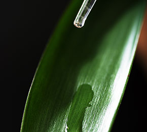 Phosphoric acid