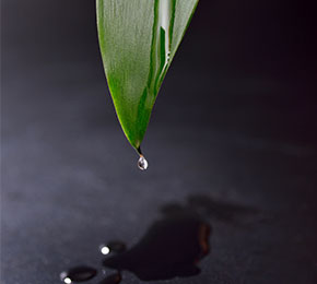 Phosphoric acid
