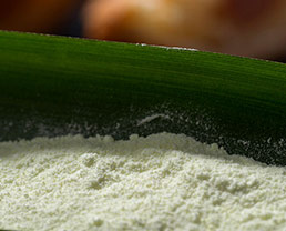 Compound bread preservative