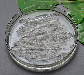 Agar