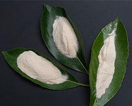 Konjac Gum