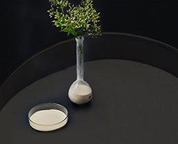 Xanthan gum