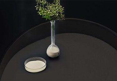Xanthan gum