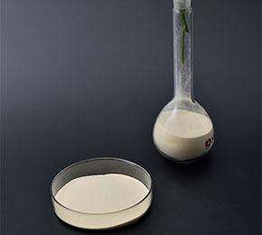 Xanthan gum